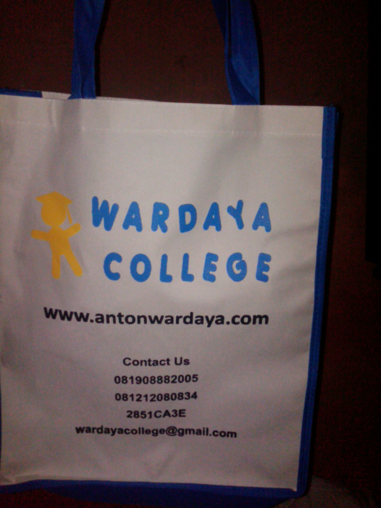 Anton Wardaya Wardaya College